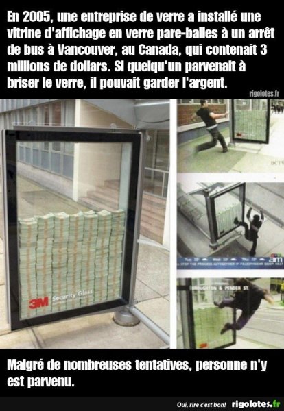 image.thumb.jpeg.cf252c21aab2bec11df45c2e862138cf.jpeg