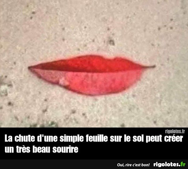 image.jpeg.4fa4e0fc9d8b77f754ce1782cbf3d485.jpeg