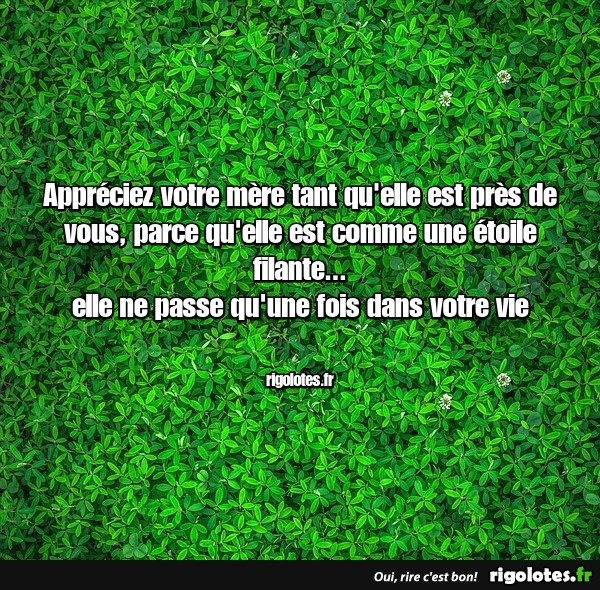 image.jpeg.9a224d725a938c00e67a1e9e6a457cd2.jpeg