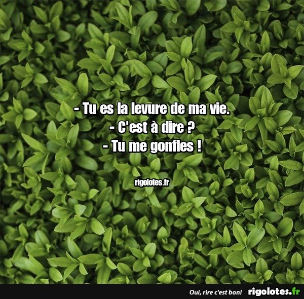 image.jpeg.a3527ba4a4aae1077b791dc56d697bdf.jpeg
