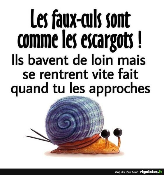 image.thumb.jpeg.15ef2275310895a33734221e54a84036.jpeg
