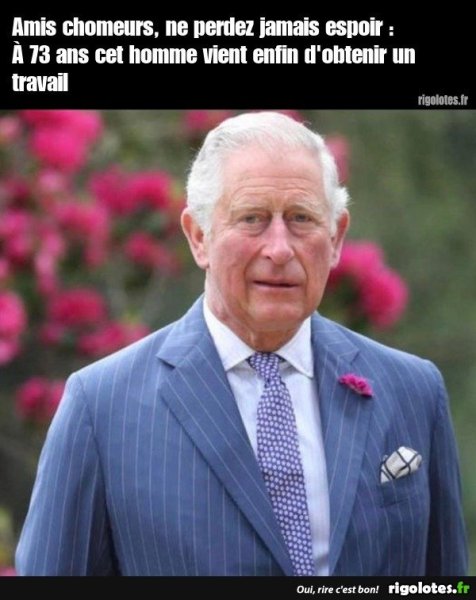 image.thumb.jpeg.46deb1f05f2154df5e8b5540c9c9b4c3.jpeg