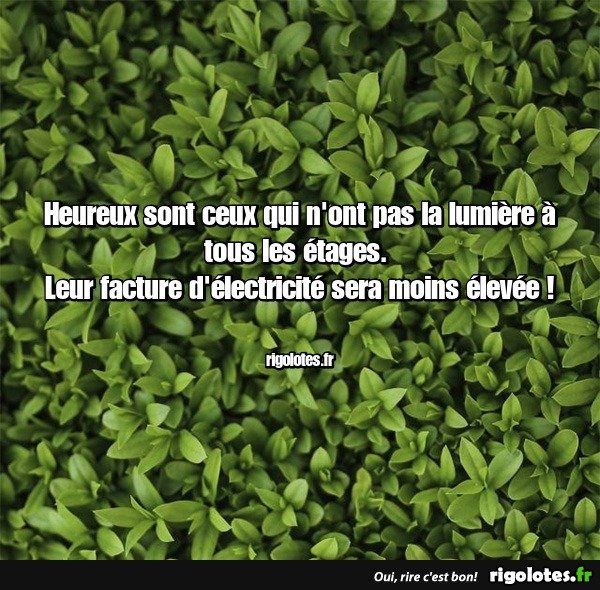 image.jpeg.347fc2baa92289a95cf02088bc5c6122.jpeg