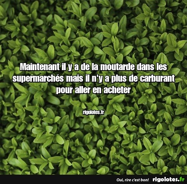 image.jpeg.9c5fa8066ee6e0d7ca3878ba59d5a021.jpeg