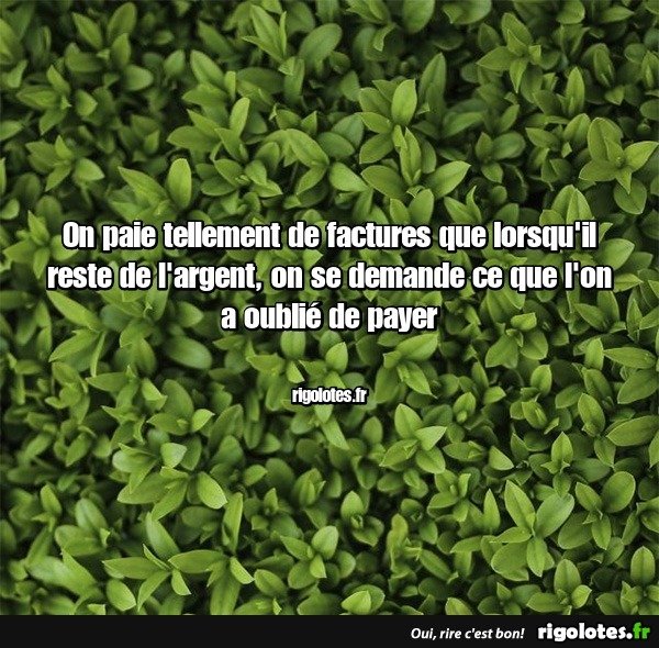 image.jpeg.ac1eb315d4a2f2b2341f1fceb404eb7e.jpeg