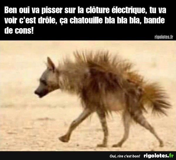 image.jpeg.b30bff31bbbc1e56f04b4b0b31c2d648.jpeg