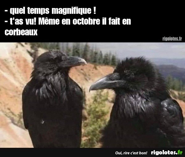 image.jpeg.ee74592ef5badb26b0910473503692db.jpeg