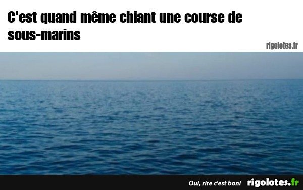 image.jpeg.f59818110085dfb9553881377595fc7b.jpeg