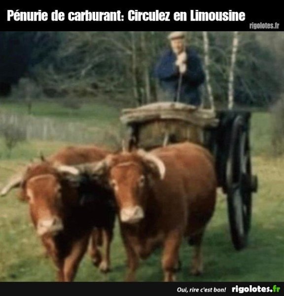 image.thumb.jpeg.397f482812ffcdbc1d18321b63b5e2d3.jpeg
