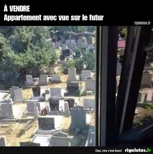 image.thumb.jpeg.4892ad70125b196371432e831ecaf49d.jpeg