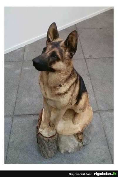 image.thumb.jpeg.ec0dcff9d2f493611c352379e96c7f16.jpeg