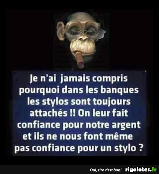 image.jpeg.8d82024e15812976ee1190d872493d3a.jpeg