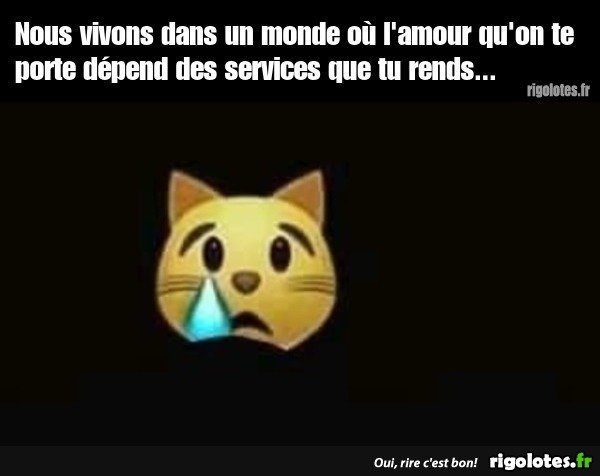 image.jpeg.e9458d88d0299438f90d3f8dfa6253c8.jpeg