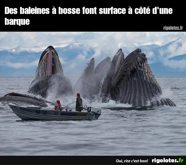 image.jpeg.ff4e4dedb0340f8a805388e75de731d3.jpeg