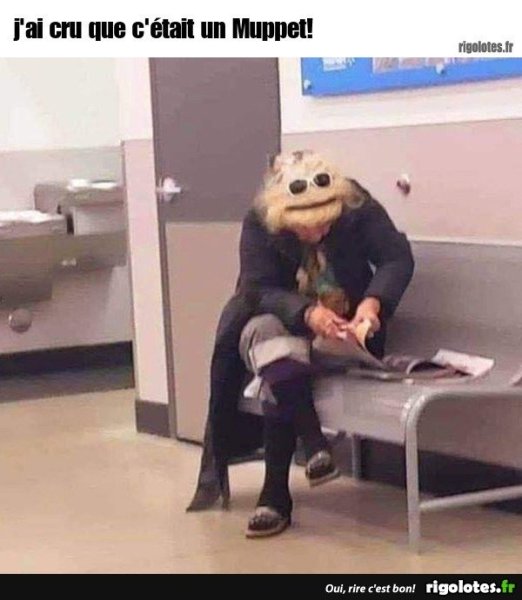 image.thumb.jpeg.1b966756753a52024164b329d7605753.jpeg
