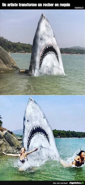 image.thumb.jpeg.4288d62e9fc315e7926672471059fa4b.jpeg