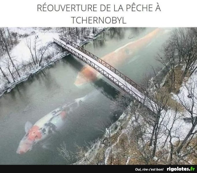 image.thumb.jpeg.4f16589f1cf960b675ccfe9ef4ab7e14.jpeg