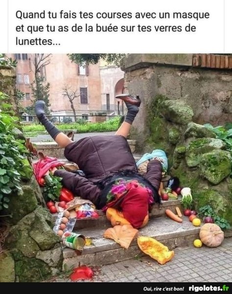 image.thumb.jpeg.646a87124fa402f76cbc00b34e6c6854.jpeg