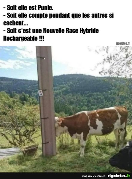 image.thumb.jpeg.8573e56ff11ebb10f2d15d0c748df379.jpeg
