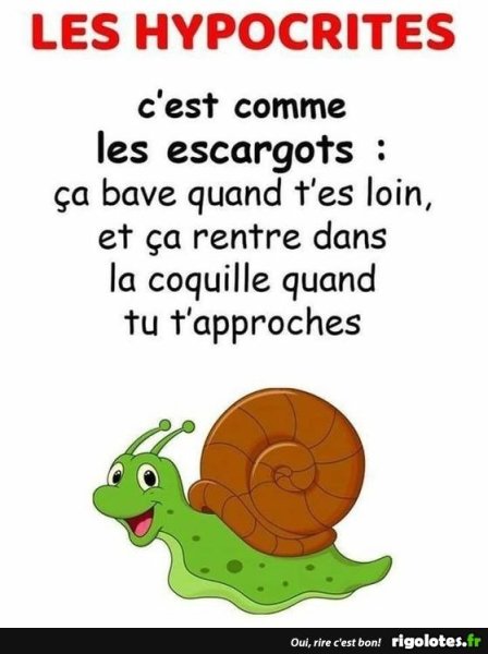 20211212.jpgbn.thumb.jpg.8f03f54769110b425af56b7f174a6c09.jpg