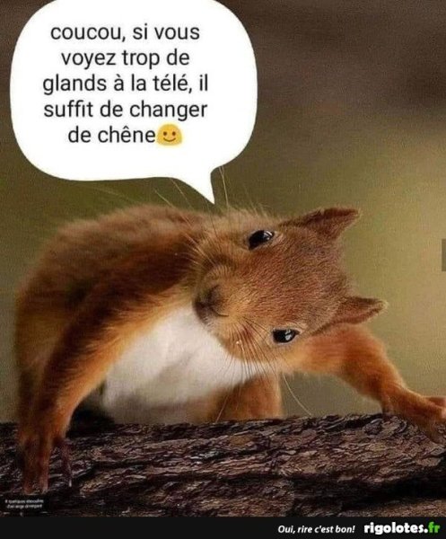 20221219.jpgn.thumb.jpg.8c052e118f2a3dd545a2519ec1c5682d.jpg