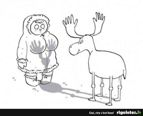 image.jpeg.55f3e1882ea1bbbb414fff69005d6edf.jpeg