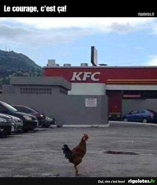 image.thumb.jpeg.0d2f7a54adb6ab93b0918176a7f16ef5.jpeg
