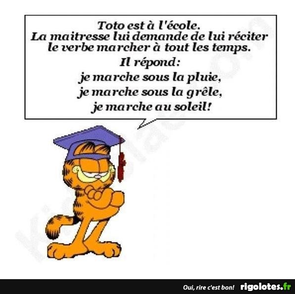 20171128.jpg.ca1896316bcdefe79a571705ea13c049.jpg