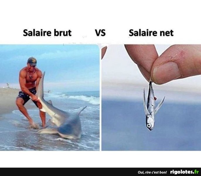 20190603.thumb.jpg.748dd7c73896f6d3da9450b406b9af61.jpg