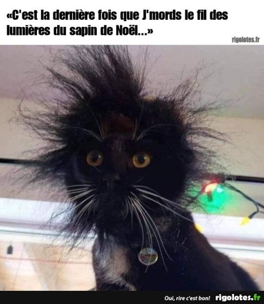 20211220.thumb.jpg.df766ce796624e388dd35fd305cecbef.jpg