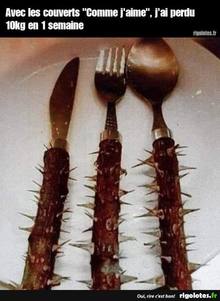 20230102.thumb.jpg.0d0e3131aa631c48fad3c82e7ee28d5b.jpg