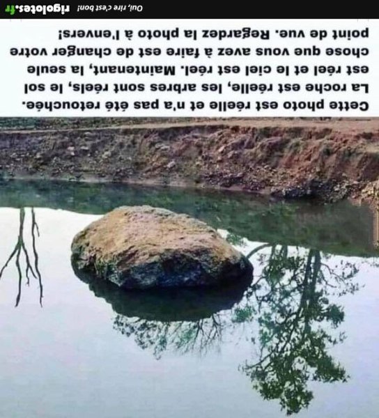 22.jpg2.thumb.jpg.465e9cb203c92406de6acaef3cacb117.jpg