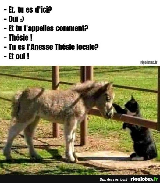 20211124.thumb.jpg.09743dfa858748ff36c5ba7948b4f09a.jpg