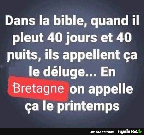 20230515.jpg0.jpg.c8ab0ddc1eb3c5abe8fdca33d53bb6b6.jpg