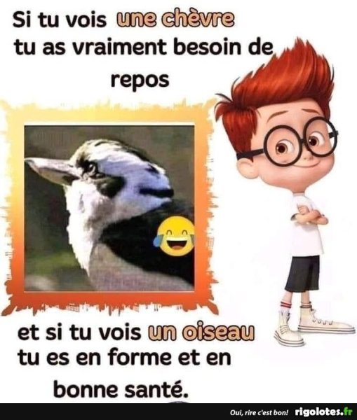 20220602.thumb.jpg.d21d293ff78632ebd9c76602b837c872.jpg