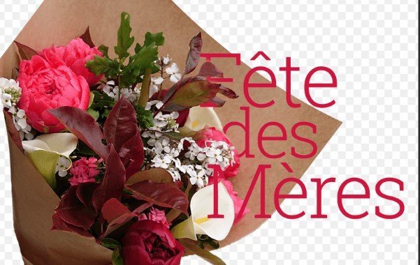 fete_des_meres.jpg.eb516c84a9b732612e4f8ef91b4d0146.jpg