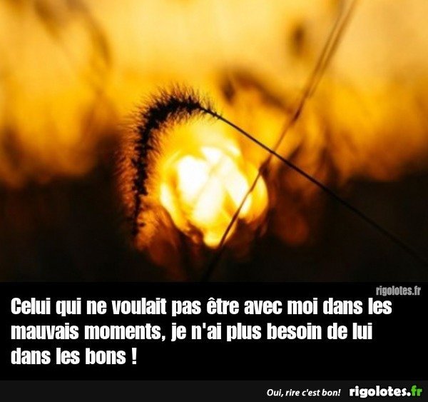 20230627.jpgt.jpg.4c4f7d75fbb79c6ed0c54da4b274220d.jpg