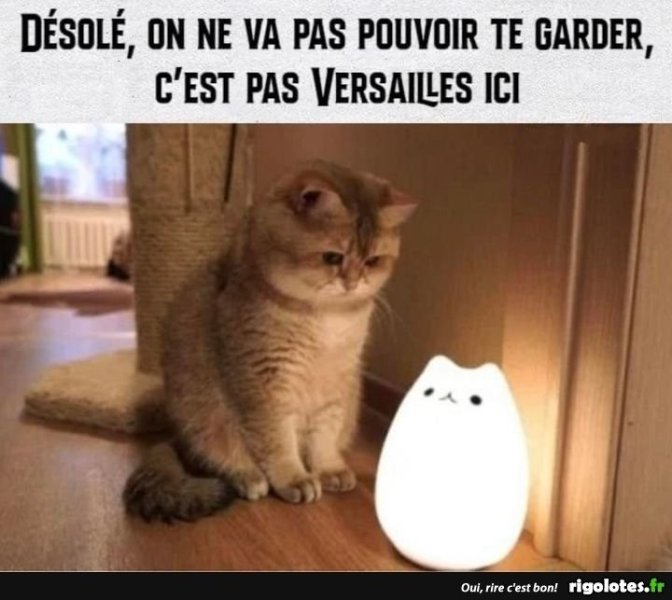 20211210.thumb.jpg.9169cc4ff4ec3b0b03e351261168e54e.jpg