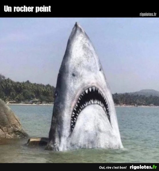20230626.thumb.jpg.4bd62e040448d0c101638428985a0bac.jpg