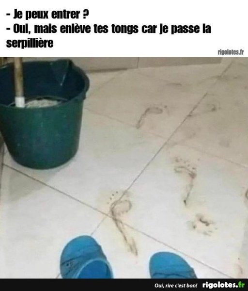 20230728.thumb.jpg.8017e8abfe4eebecf753f2f52dc3ffc3.jpg