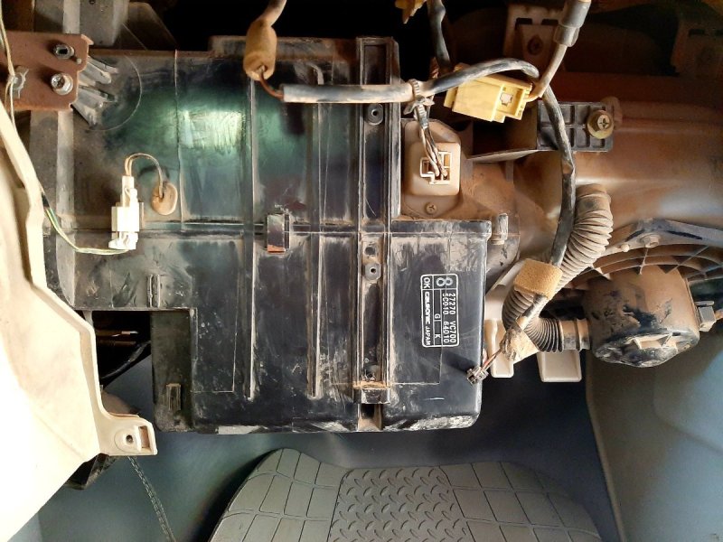 20230803_140546.jpg