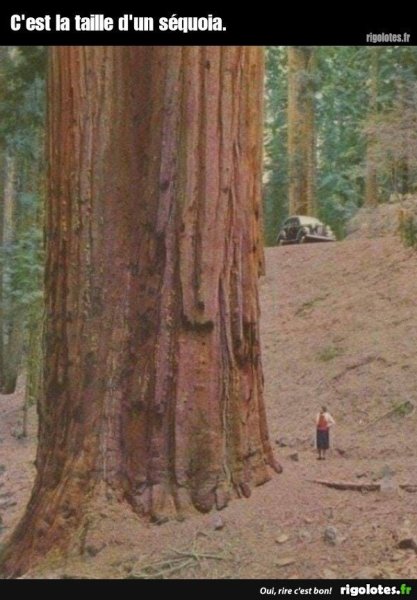 20230807.jpg00.thumb.jpg.bc5ad0e07a543b08a19c42c8b7dadced.jpg