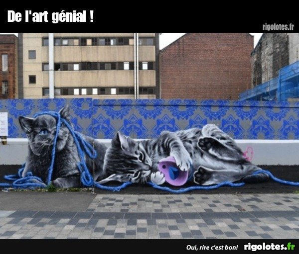 kl.jpg.b8b49e16344a2bef97440996870af2de.jpg