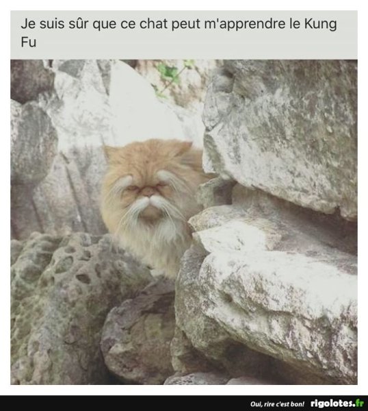 20180914.thumb.jpg.fd564b2a7411a7916bb0cfc2ce844c72.jpg