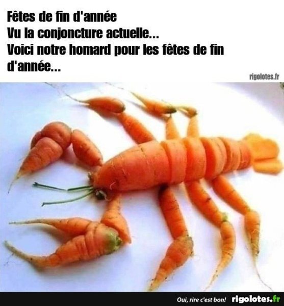 20221212.thumb.jpg.14addf0e64082a0c2f233b6c63f30cd8.jpg