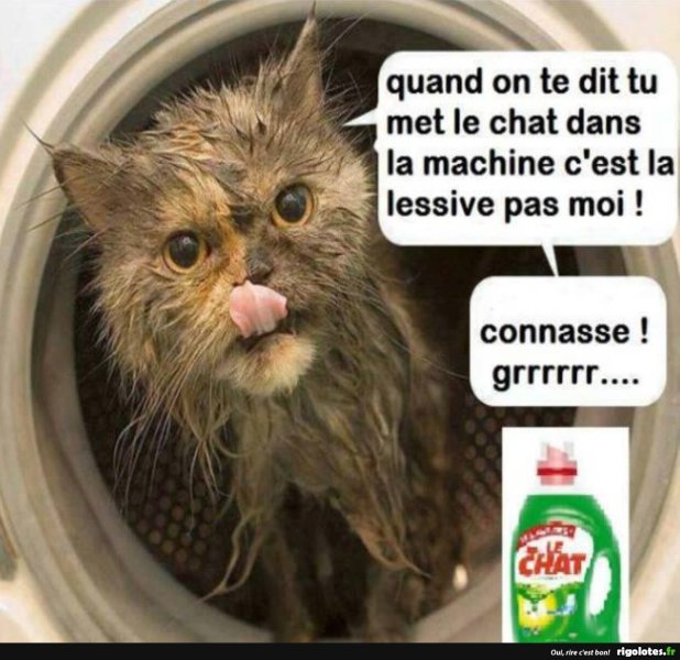 20220129.thumb.jpg.f5cbab3da607d0e92037b8c17c994b35.jpg
