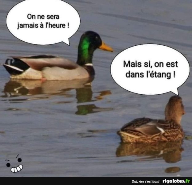 20210112.jpg620.thumb.jpg.066de763fb8b97763828be091163494c.jpg