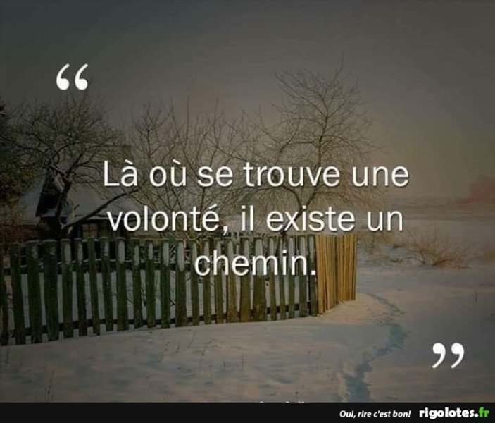 20220126.jpgko.thumb.jpg.502866ec203ce35cb36f8cdb974dbff4.jpg