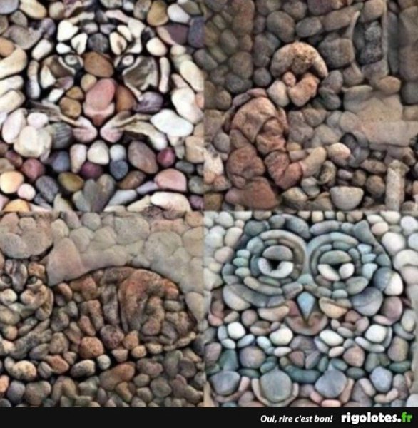 20220302.thumb.jpg.6b8a02b849e5185d1044353d0df438c5.jpg