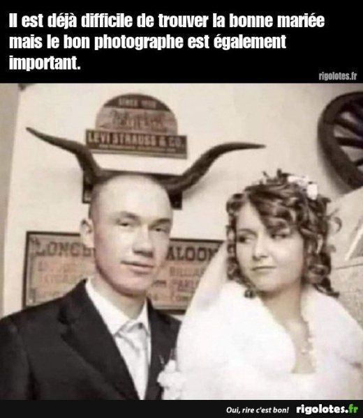 20231205.jpgrty4.thumb.jpg.b541cc2533ff2a76f5cb2dc151083633.jpg
